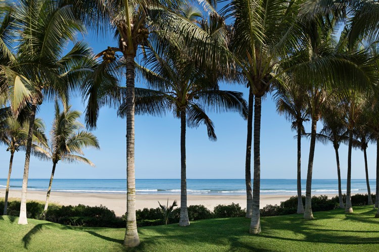 Wuivende palmbomen aan het strand van Máncora, Peru